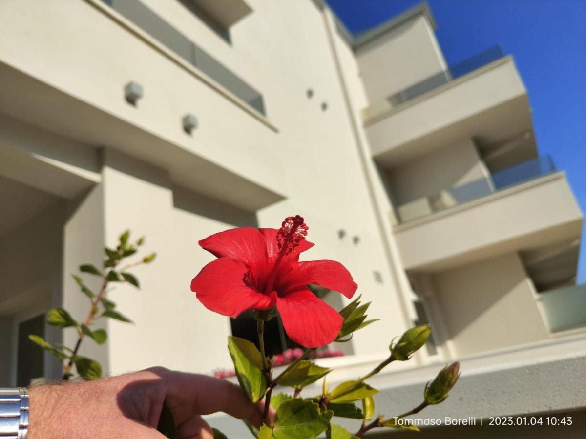 Park Hotel Le Dune Di Giovino Катандзаро Экстерьер фото